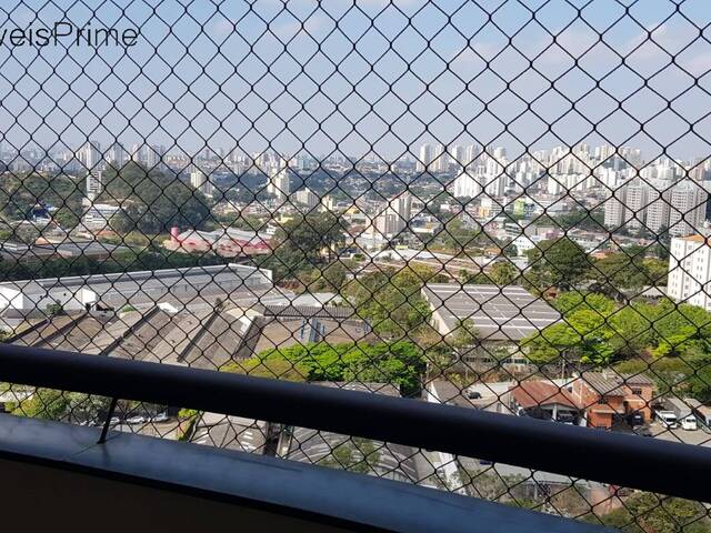#A317 - Apartamento para Locação em Taboão da Serra - SP - 1