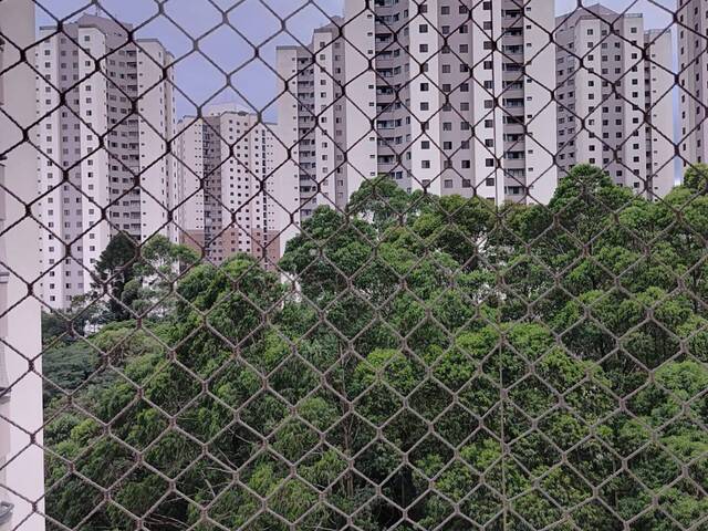 Apartamento para Locação em Chácara Agrindus - 10